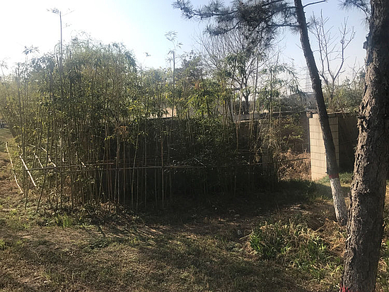 微信圖片_20190329154812.jpg 微信圖片_20190329154812.jpg