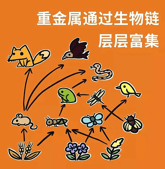 微信圖片_20200228152605.jpg