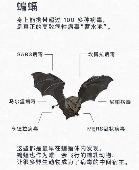 微信圖片_20200228152535.jpg