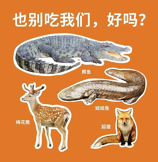 微信圖片_20200228152552.jpg