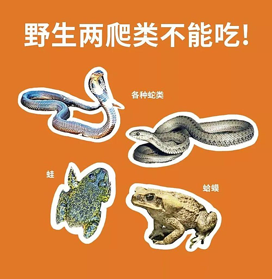 微信圖片_20200228152550.jpg
