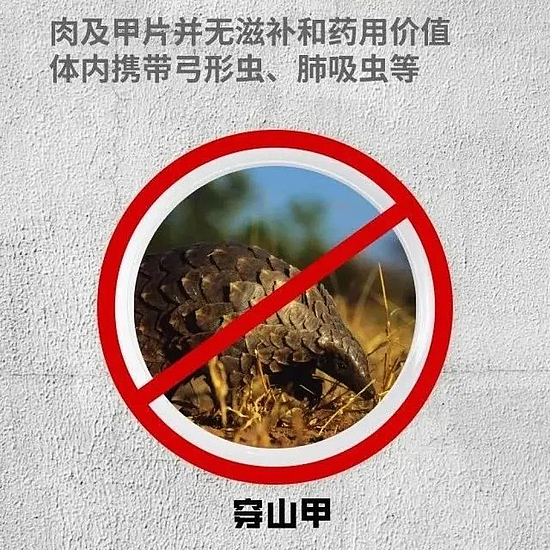 微信圖片_20200228152533.jpg