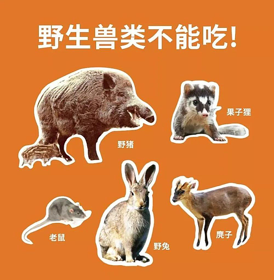 微信圖片_20200228152544.jpg
