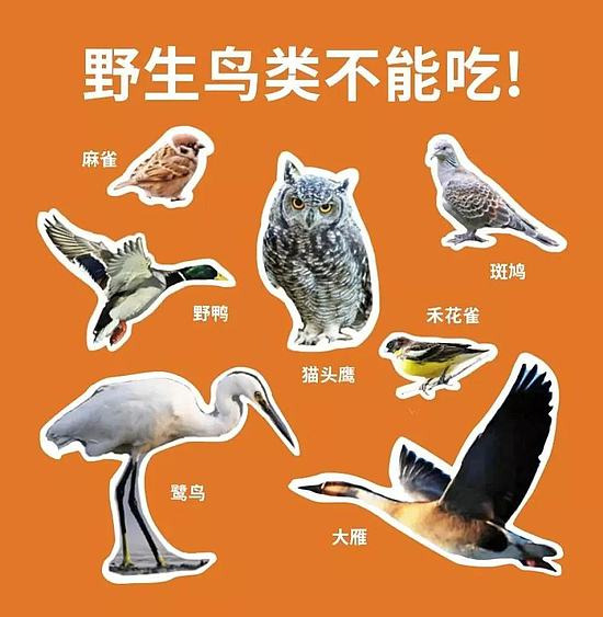 微信圖片_20200228152547.jpg