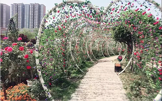 微信圖片_20190626102340.jpg