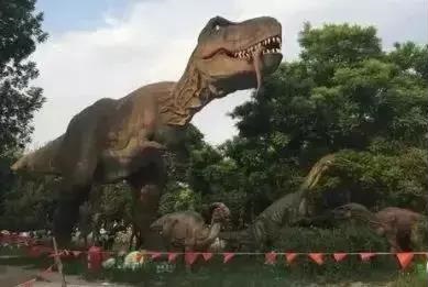 微信圖片_20190506145844.jpg