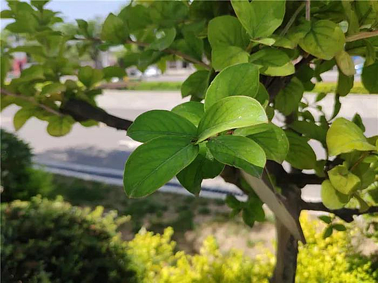 微信圖片_20190529170627.jpg 微信圖片_20190529170627.jpg