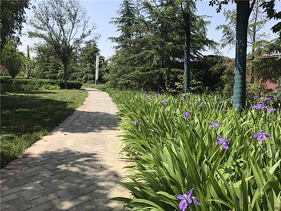 微信圖片_20190529171242.jpg 微信圖片_20190529171242.jpg