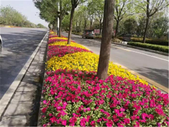 微信圖片_20190529170913.jpg 微信圖片_20190529170913.jpg