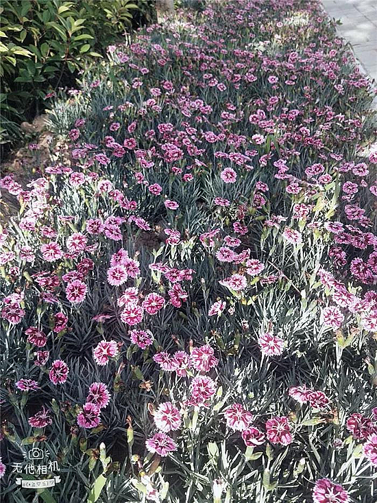 微信圖片_20190529171718.jpg 微信圖片_20190529171718.jpg