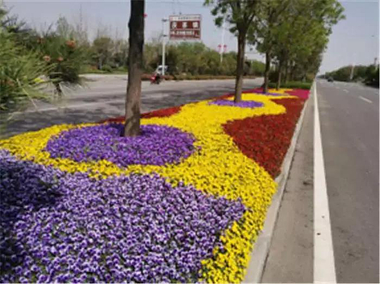 微信圖片_20190529171545.jpg 微信圖片_20190529171545.jpg