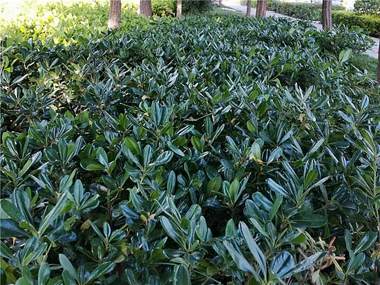 微信圖片_20190529171650.jpg 微信圖片_20190529171650.jpg