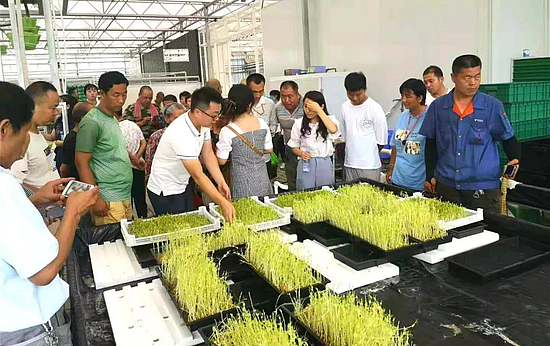 微信圖片_20191022112711.jpg 微信圖片_20191022112711.jpg