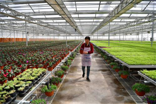 創新不止步 陜西自貿試驗區西咸新區跑出“新速度”