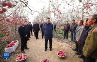 習(xí)近平在陜西延安和河南安陽考察