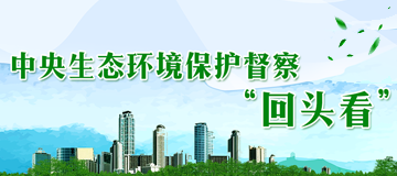 中央生態(tài)環(huán)境保護(hù)督察“回頭看”