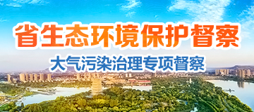 省生態(tài)環(huán)保督察（大氣污染治理專項督察）