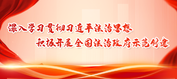 法治政府建設