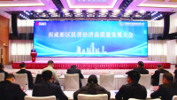 西咸新區召開2025年民營經濟高質量發展大會