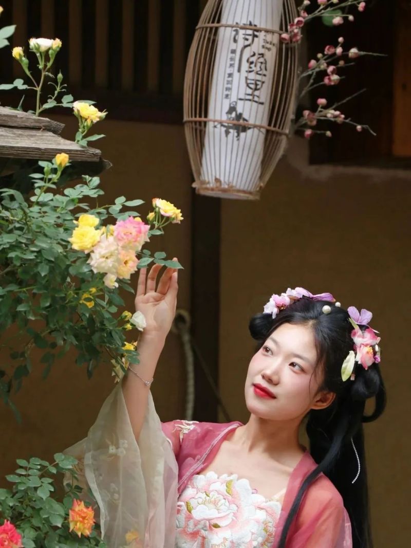 圖片