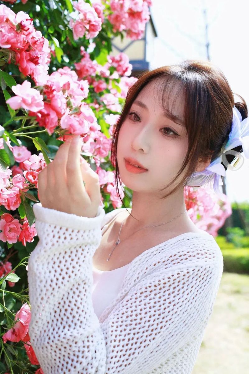 圖片